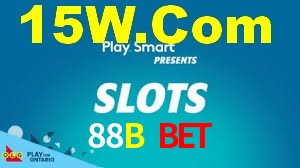 Experiência VIP 88B Bet